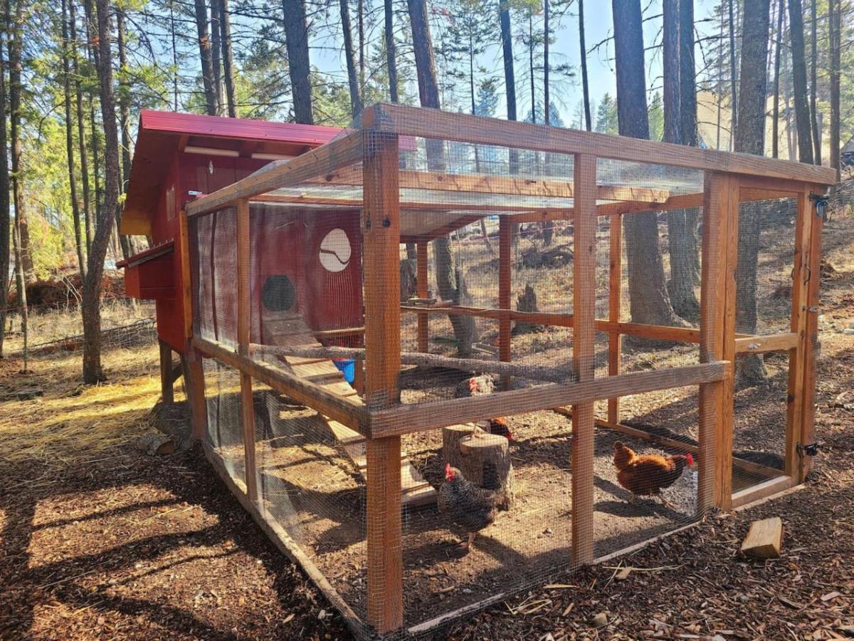 Blacktail Cabin Hideaway With Hot Tub Lakeside Exterior photo