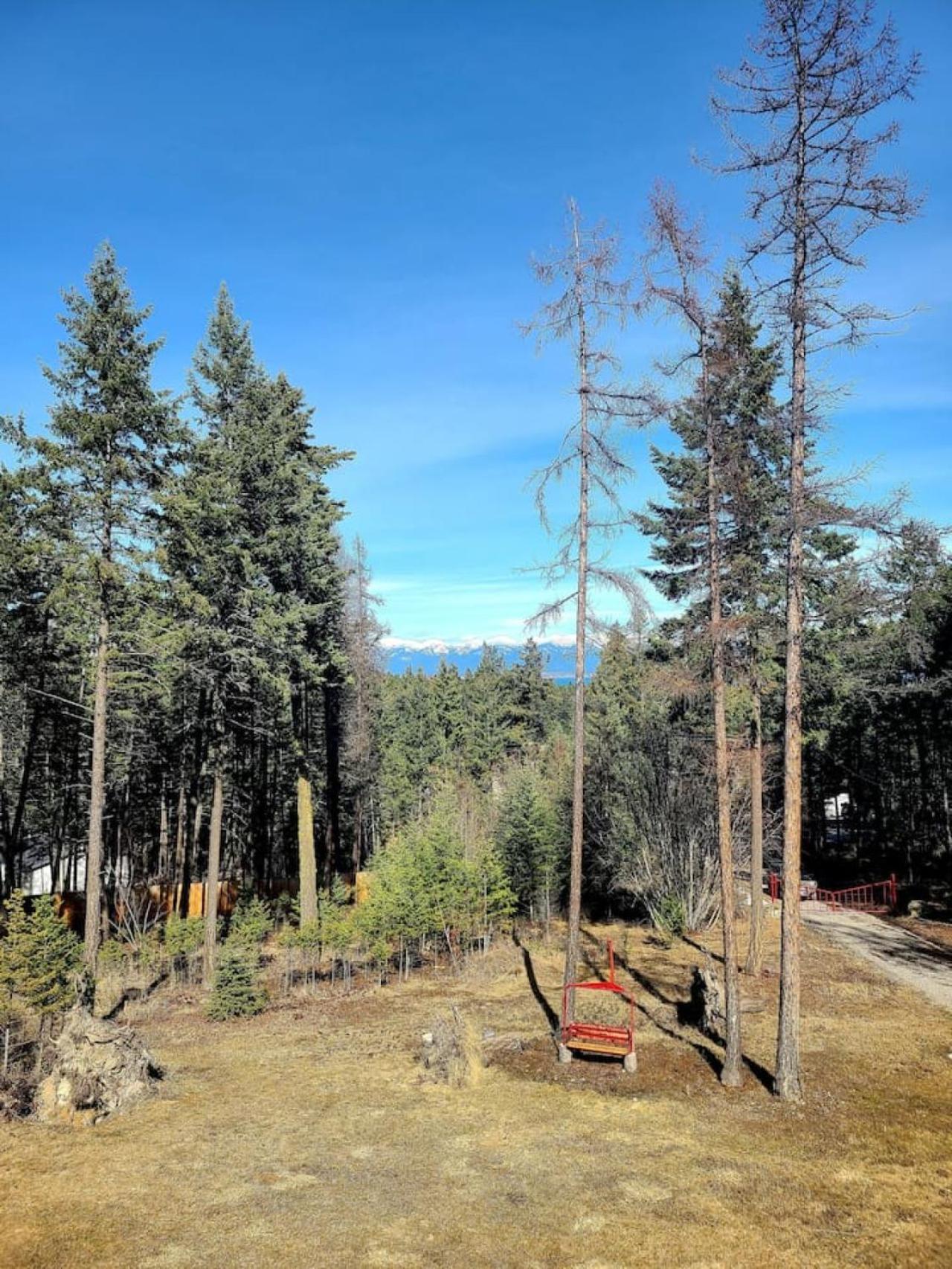 Blacktail Cabin Hideaway With Hot Tub Lakeside Exterior photo